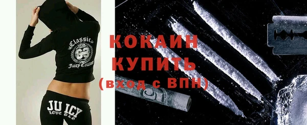 индика Приозерск
