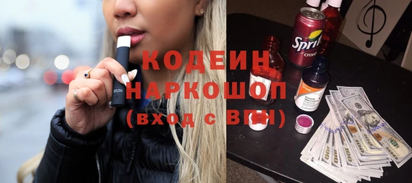 индика Приозерск