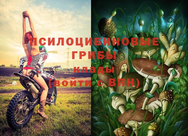 спиды Пролетарск