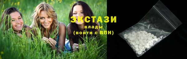 индика Приозерск