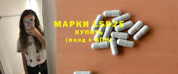 индика Приозерск