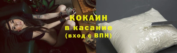 индика Приозерск