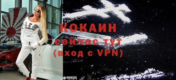 индика Приозерск