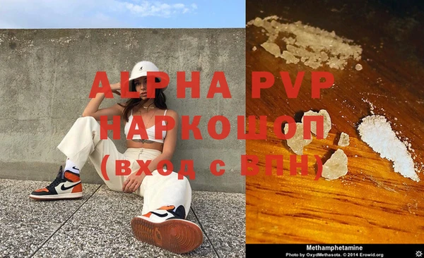 индика Приозерск