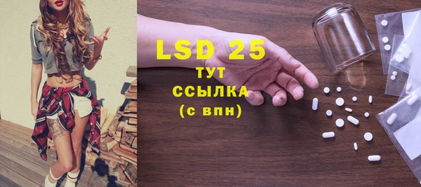 индика Приозерск