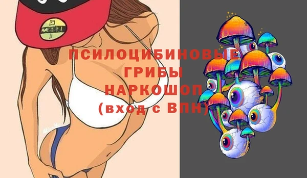 apvp Протвино