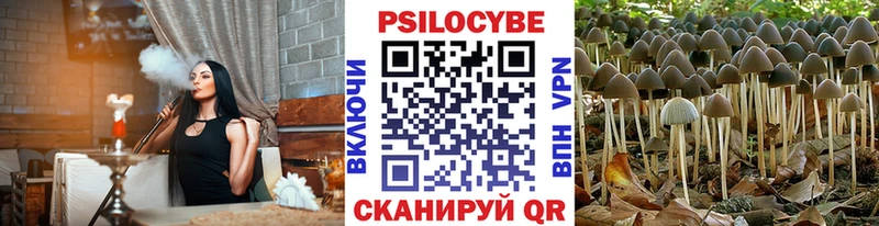 даркнет телеграм  Холмск  Псилоцибиновые грибы GOLDEN TEACHER 